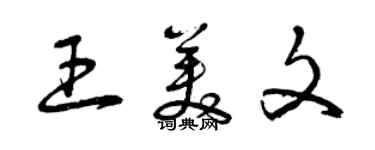 曾慶福王美文草書個性簽名怎么寫