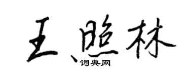王正良王照林行書個性簽名怎么寫