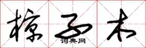 朱錫榮椋子木草書怎么寫