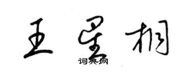 梁錦英王星桐草書個性簽名怎么寫