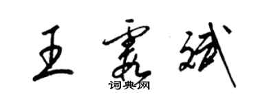 梁錦英王霞斌草書個性簽名怎么寫