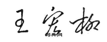 駱恆光王宏柳草書個性簽名怎么寫