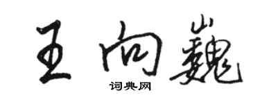 駱恆光王向巍行書個性簽名怎么寫