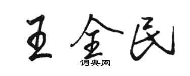 駱恆光王全民行書個性簽名怎么寫