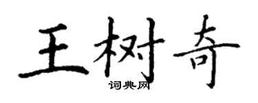 丁謙王樹奇楷書個性簽名怎么寫