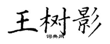 丁謙王樹影楷書個性簽名怎么寫
