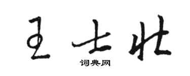 駱恆光王士壯草書個性簽名怎么寫