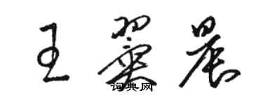 駱恆光王翼晨草書個性簽名怎么寫