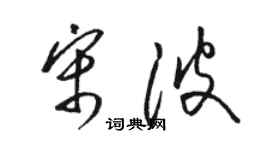 駱恆光宋波草書個性簽名怎么寫