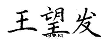 丁謙王望發楷書個性簽名怎么寫