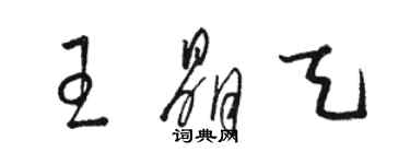 駱恆光王晶天草書個性簽名怎么寫