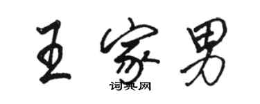 駱恆光王家男行書個性簽名怎么寫