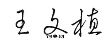 駱恆光王文植草書個性簽名怎么寫