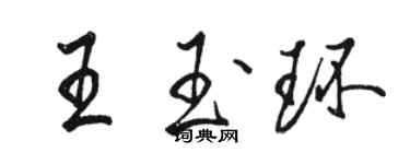 駱恆光王玉環行書個性簽名怎么寫