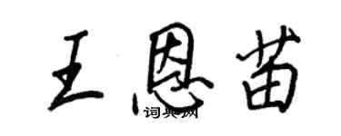 王正良王恩苗行書個性簽名怎么寫
