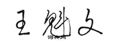 駱恆光王魁文草書個性簽名怎么寫