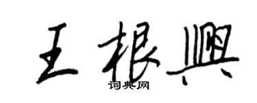 王正良王根興行書個性簽名怎么寫