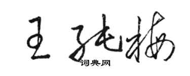 駱恆光王純梅草書個性簽名怎么寫