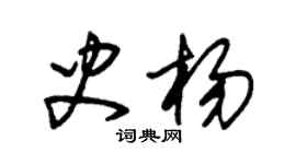 朱錫榮史楊草書個性簽名怎么寫