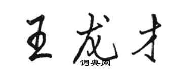 駱恆光王龍才行書個性簽名怎么寫
