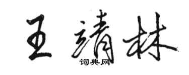 駱恆光王靖林行書個性簽名怎么寫