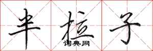 田英章半拉子行書怎么寫
