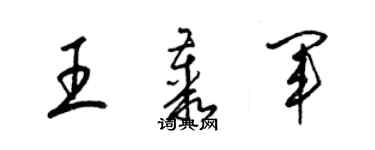 梁錦英王叢軍草書個性簽名怎么寫