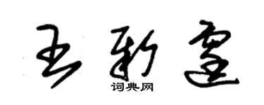 朱錫榮王新霆草書個性簽名怎么寫