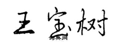曾慶福王寶樹行書個性簽名怎么寫