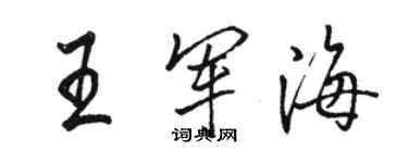 駱恆光王軍海行書個性簽名怎么寫