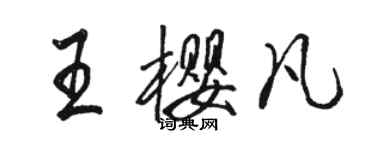 駱恆光王櫻凡行書個性簽名怎么寫