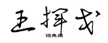 曾慶福王揮戈草書個性簽名怎么寫