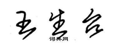 朱錫榮王生台草書個性簽名怎么寫