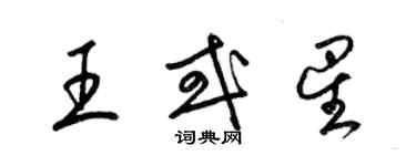 梁錦英王或星草書個性簽名怎么寫