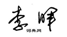 朱錫榮李暉草書個性簽名怎么寫