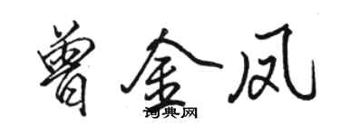 駱恆光曾金鳳行書個性簽名怎么寫