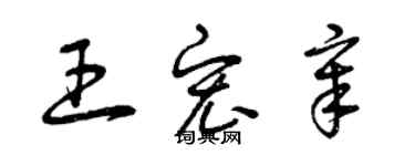 曾慶福王宏章草書個性簽名怎么寫