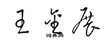 駱恆光王金展草書個性簽名怎么寫