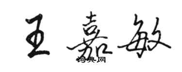 駱恆光王嘉敏行書個性簽名怎么寫