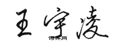駱恆光王宇凌行書個性簽名怎么寫