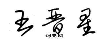 朱錫榮王晉星草書個性簽名怎么寫