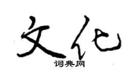 曾慶福文化行書個性簽名怎么寫