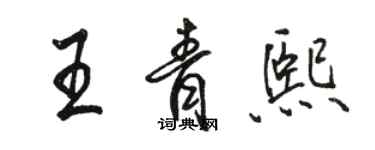 駱恆光王青熙行書個性簽名怎么寫