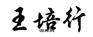 胡問遂王培行行書個性簽名怎么寫