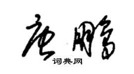 朱錫榮唐鵬草書個性簽名怎么寫