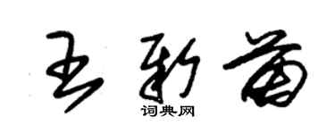 朱錫榮王新苗草書個性簽名怎么寫