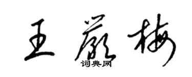 梁錦英王嚴梅草書個性簽名怎么寫