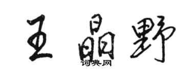駱恆光王晶野行書個性簽名怎么寫