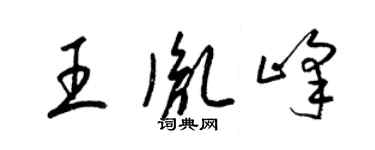 梁錦英王胤峰草書個性簽名怎么寫