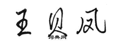 駱恆光王貝鳳行書個性簽名怎么寫